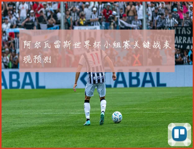 阿尔瓦雷斯世界杯小组赛关键战表现预测