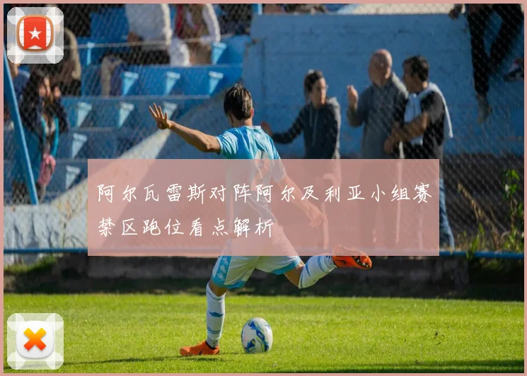 阿尔瓦雷斯对阵阿尔及利亚小组赛禁区跑位看点解析
