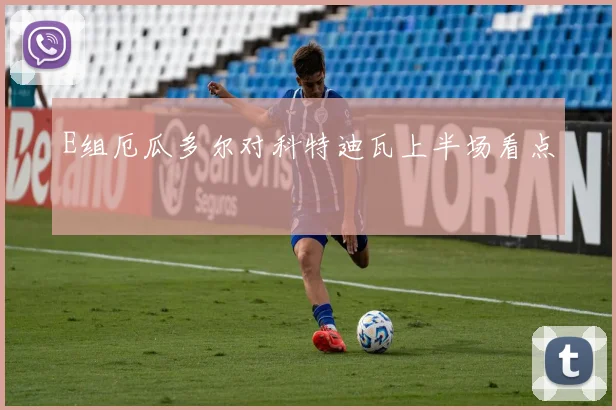 E组厄瓜多尔对科特迪瓦上半场看点