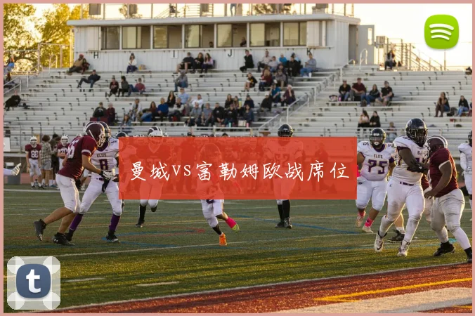 曼城vs富勒姆欧战席位