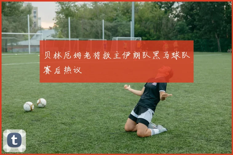 贝林厄姆老将救主伊朗队黑马球队赛后热议