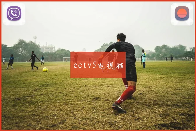 cctv5电视猫