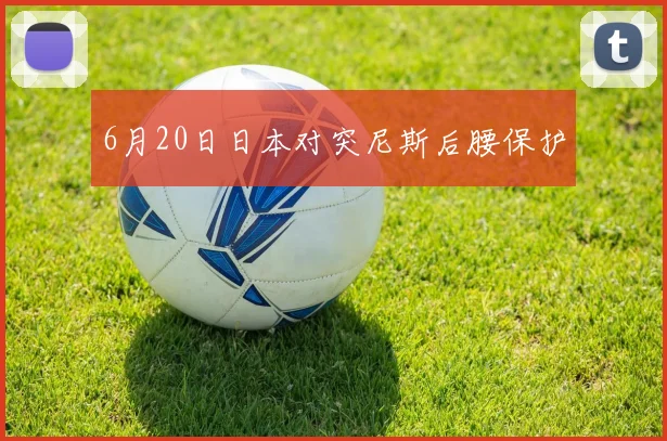 6月20日日本对突尼斯后腰保护