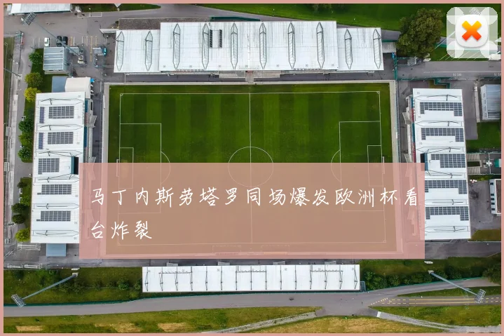 马丁内斯劳塔罗同场爆发欧洲杯看台炸裂